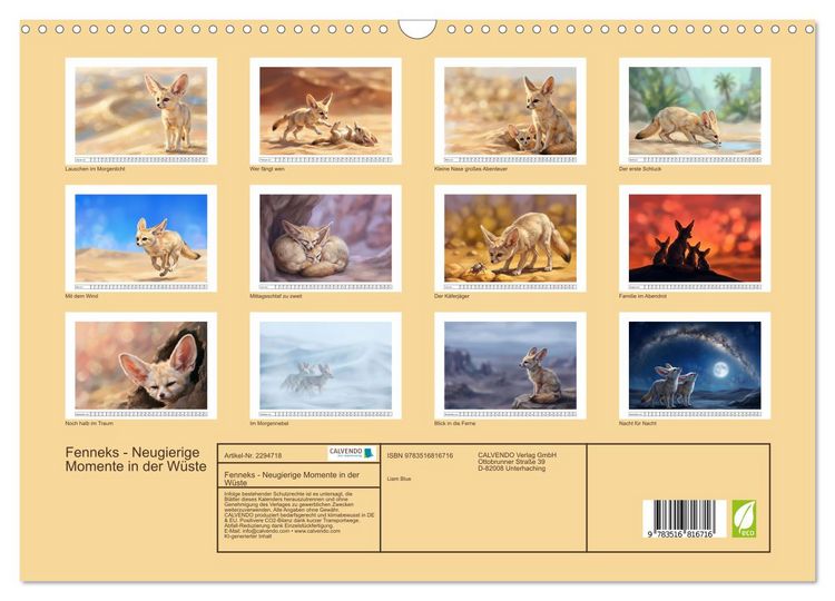 Produktbild: Fenneks - Neugierige Momente in der W&uuml;ste (Wandkalender 2027 DIN A3 quer), CALVENDO Monatskalender