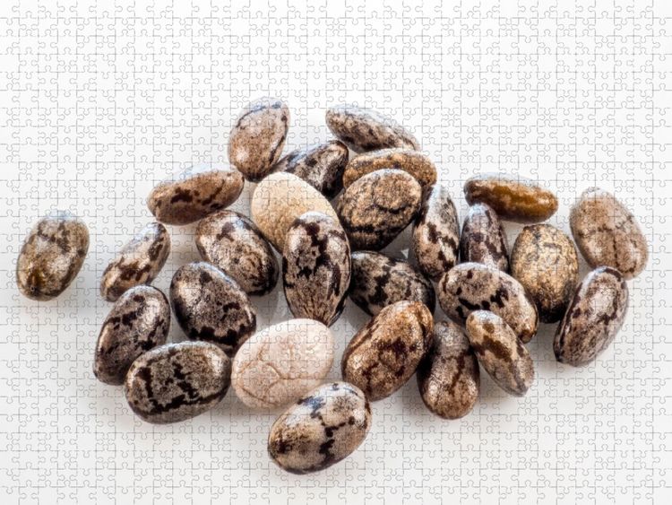 Produktbild: CALVENDO Puzzle Chia-Samen | 1000 Teile Lege-Gr&ouml;&szlig;e 64x48cm Foto-Puzzle f&uuml;r gl&uuml;ckliche Stunden