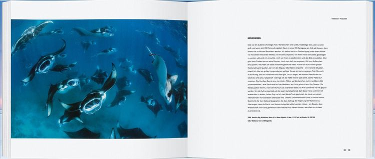 Produktbild: Die erstaunliche Welt der Tiere