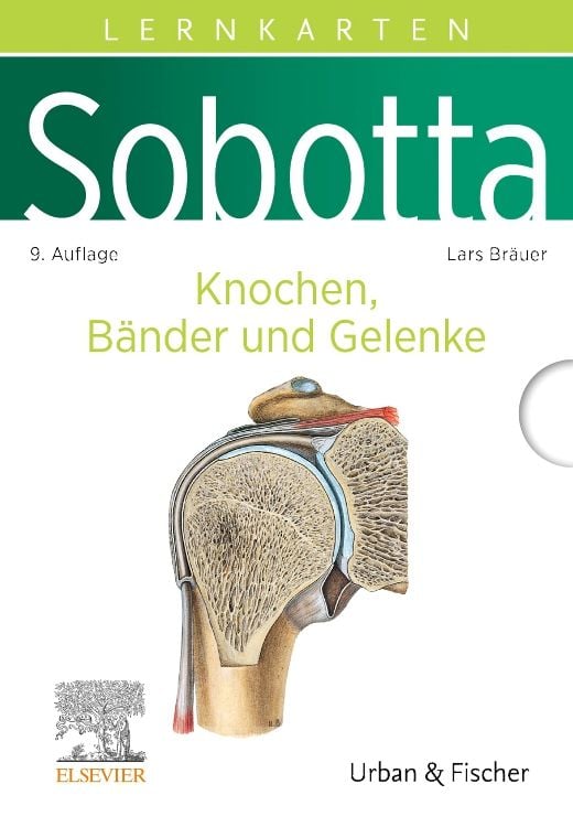 Produktbild: Sobotta Lernkarten Anatomie: Knochen, Bänder und Gelenke
