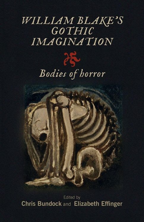 Produktbild: William Blake's Gothic imagination