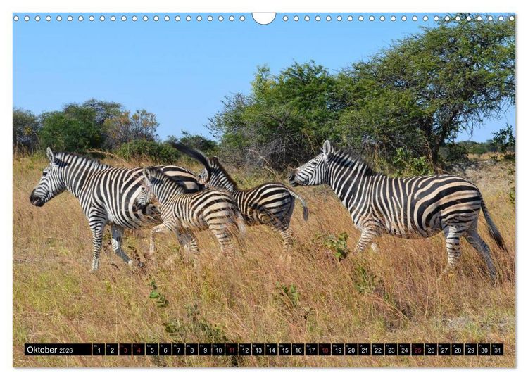 Produktbild: Wildes Leben in Afrika (Wandkalender 2026 DIN A3 quer), CALVENDO Monatskalender