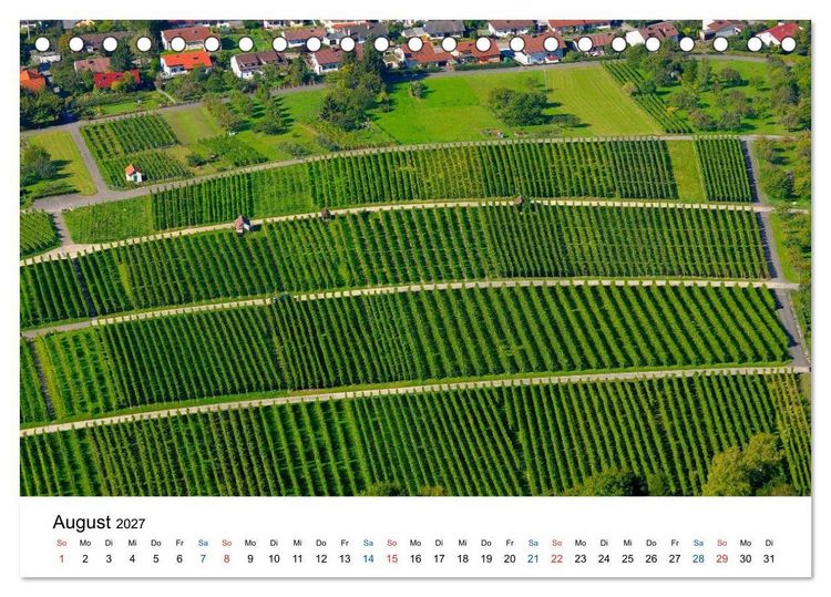 Produktbild: W&uuml;rttemberger Wein 2027 (Tischkalender 2027 DIN A5 quer), CALVENDO Monatskalender