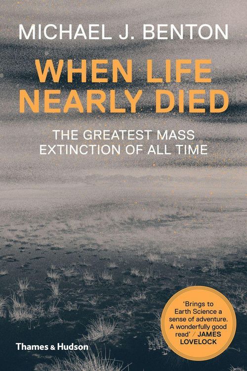 Produktbild: When Life Nearly Died
