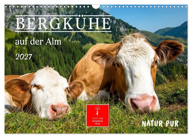 Produktbild: Bergk&uuml;he auf der Alm - Natur pur (Wandkalender 2027 DIN A3 quer), CALVENDO Monatskalender