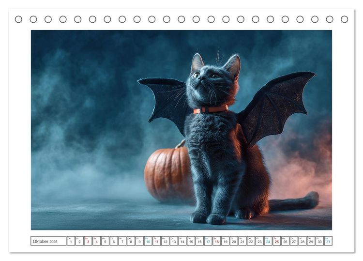 Produktbild: Miau mit Stil (Tischkalender 2026 DIN A5 quer), CALVENDO Monatskalender