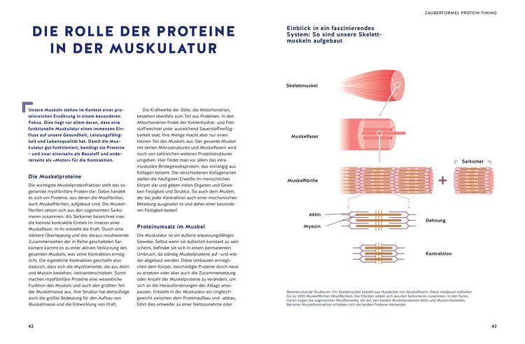Produktbild: Das Eiwei&szlig;-Wunder