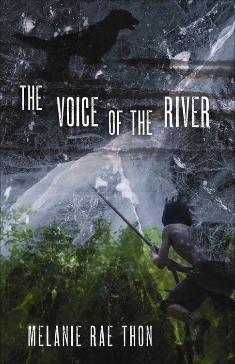 Produktbild: The Voice of the River