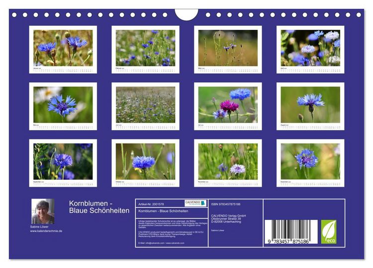 Produktbild: Kornblumen - Blaue Sch&ouml;nheiten (Wandkalender 2026 DIN A4 quer), CALVENDO Monatskalender