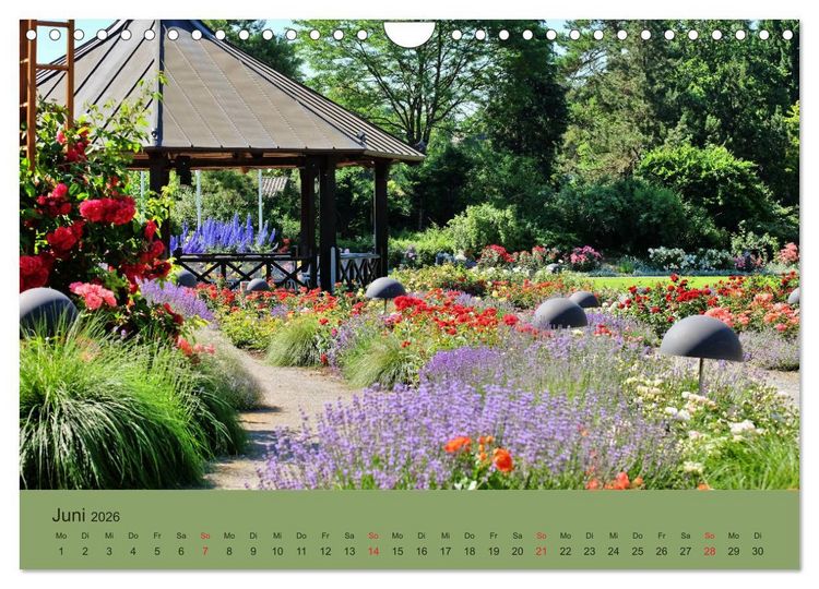 Produktbild: Stressfreie Zone! Parks und gr&uuml;ne Oasen in Augsburg (Wandkalender 2026 DIN A4 quer), CALVENDO Monatskalender