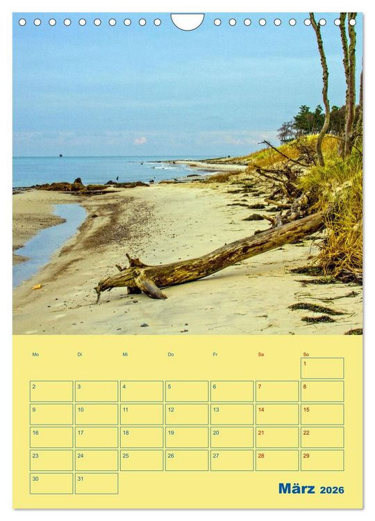 Produktbild: Sehnsuchtsort Fischland-Dar&szlig;-Zingst (Wandkalender 2026 DIN A4 hoch), CALVENDO Monatskalender