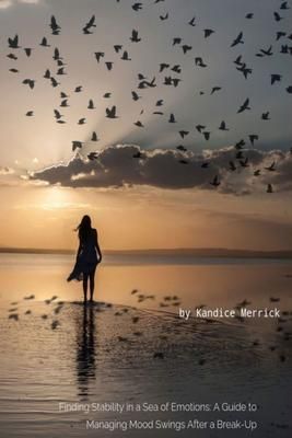 Produktbild: Finding Stability in a Sea of Emotions: A Guide to Managing Mood Swings After a Break-up