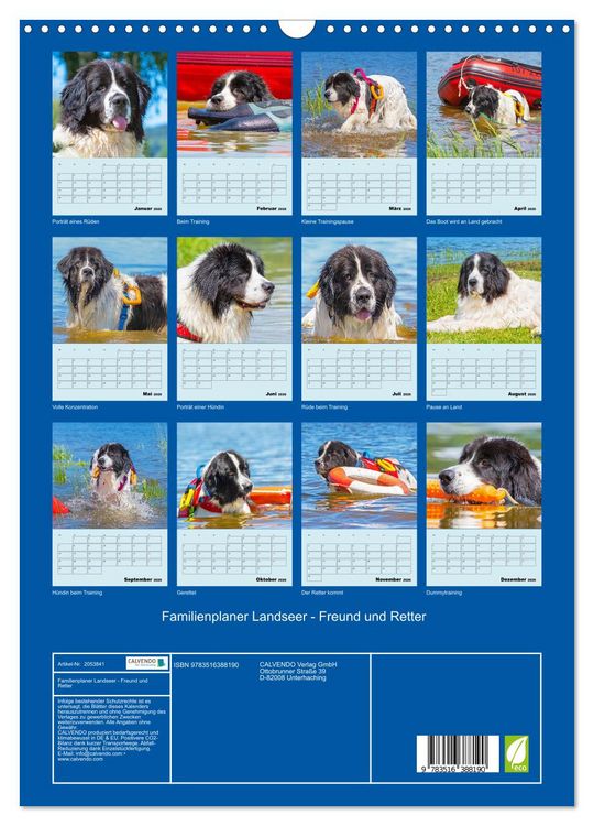 Produktbild: Familienplaner Landseer - Freund und Retter (Wandkalender 2026 DIN A3 hoch), CALVENDO Monatskalender