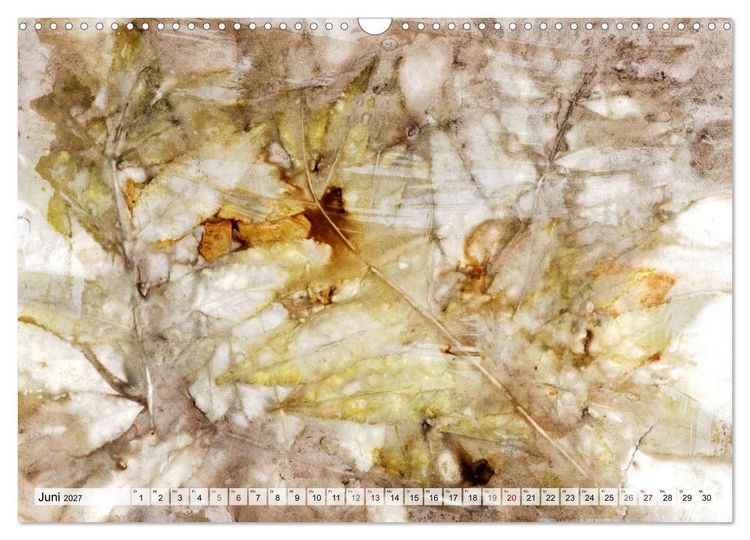 Produktbild: Botanical Printing - Magische Pflanzendrucke (Wandkalender 2027 DIN A3 quer), CALVENDO Monatskalender