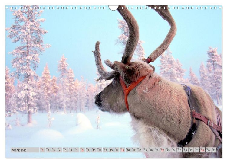 Produktbild: Zauberhaftes Finnland (Wandkalender 2026 DIN A3 quer), CALVENDO Monatskalender