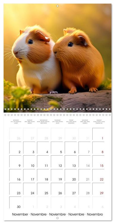 Produktbild: Sweet GUINEA PIGS (Wall Calendar 2026 12 &times; 12 Inch) CALVENDO 12 Month Wall Calendar