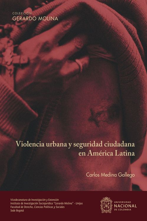 Produktbild: Violencia urbana y seguridad ciudadana en Am&eacute;rica Latina