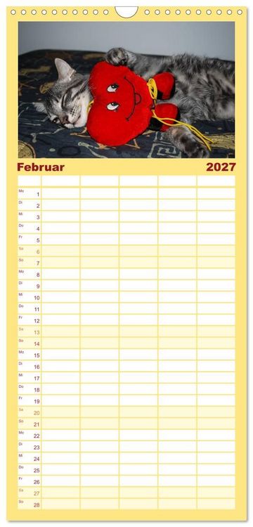 Produktbild: Familienplaner 2027 - Die Launen der Katzen 2027 mit 5 Spalten (Wandkalender, 21 x 45 cm) CALVENDO