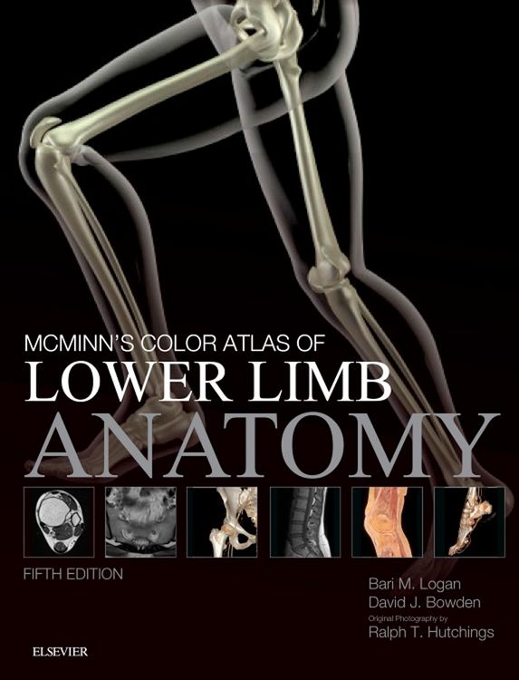 Produktbild: McMinn's Color Atlas of Lower Limb Anatomy E-Book
