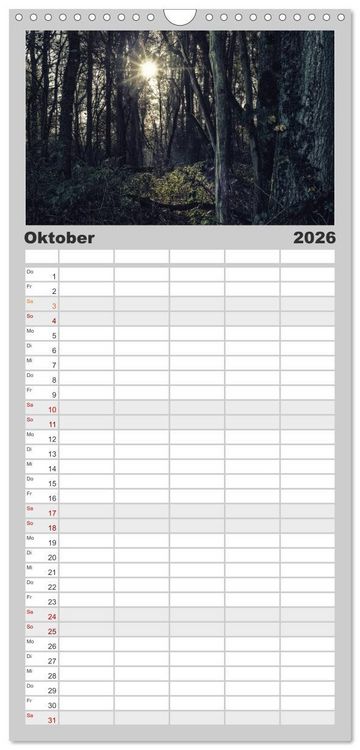 Produktbild: Familienplaner 2026 - Mystische W&auml;lder mit 5 Spalten (Wandkalender, 21 x 45 cm) CALVENDO