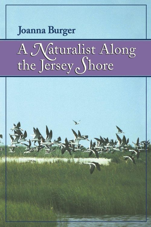 Produktbild: A Naturalist Along the Jersey Shore