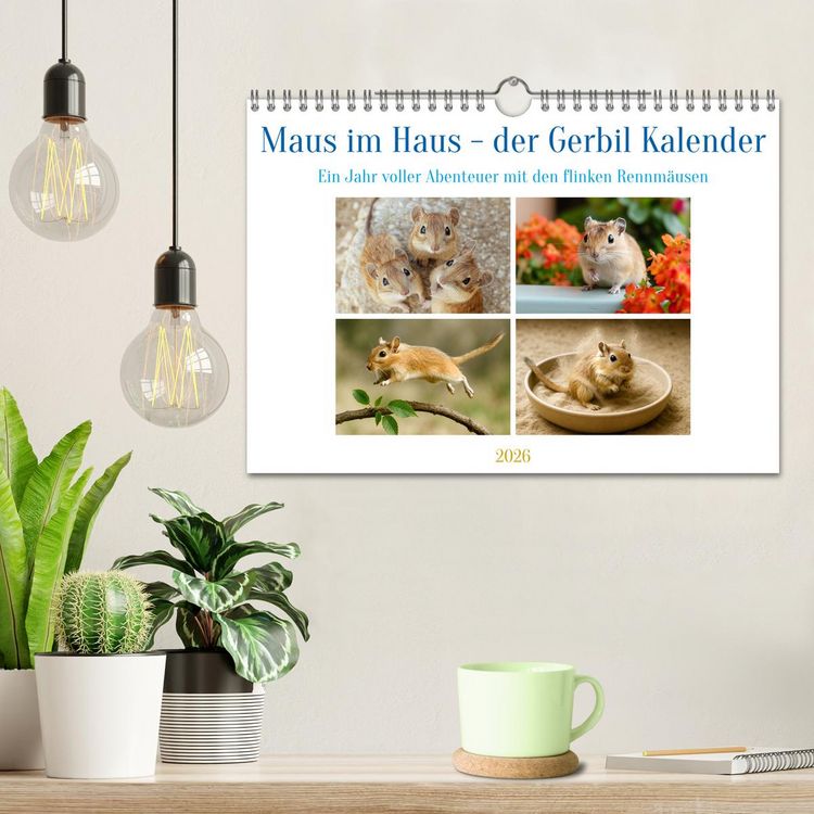 Produktbild: Maus im Haus - der Gerbil Kalender (Wandkalender 2026 DIN A4 quer), CALVENDO Monatskalender