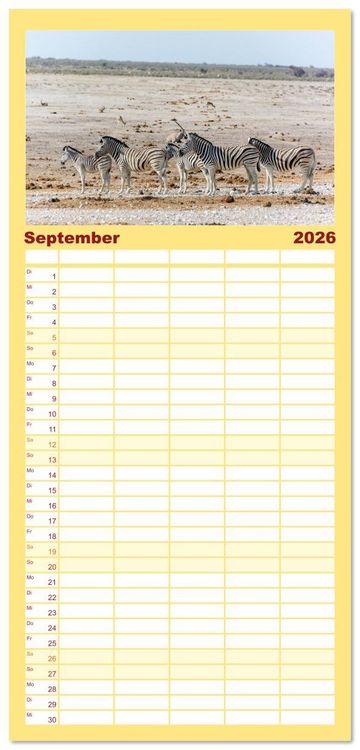 Produktbild: Familienplaner 2026 - Zebras in Afrika mit 5 Spalten (Wandkalender, 21 x 45 cm) CALVENDO