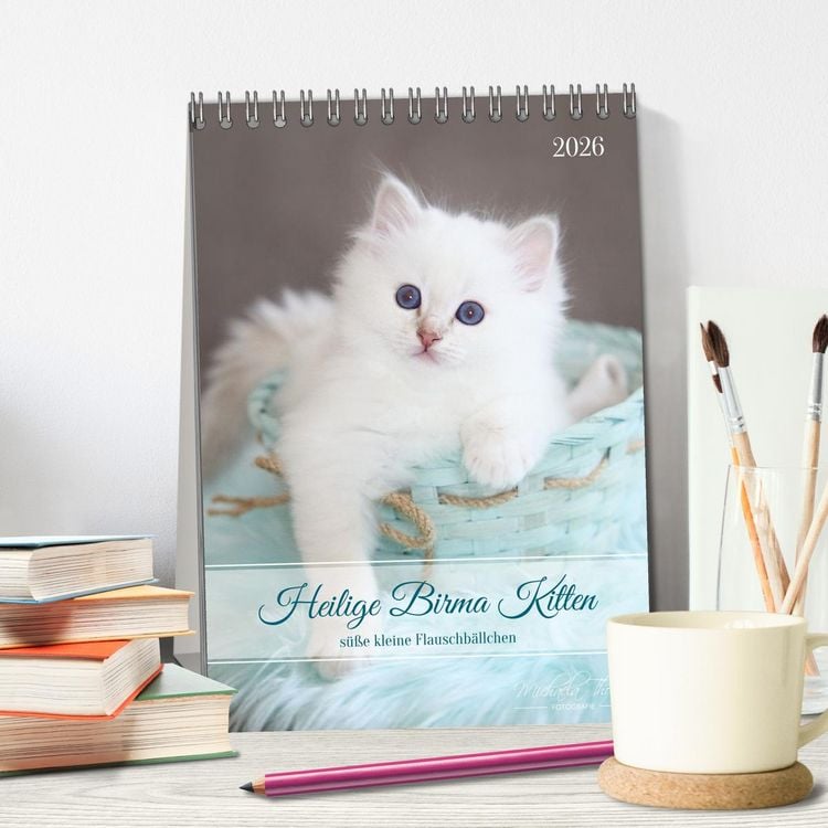 Produktbild: Heilige Birma Kitten - s&uuml;&szlig;e kleine Flauschb&auml;llchen (Tischkalender 2026 DIN A5 hoch), CALVENDO Monatskalender