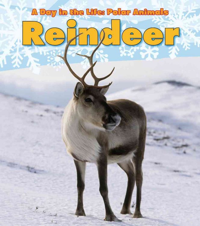 Produktbild: Reindeer