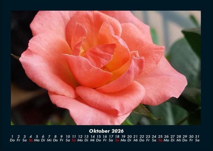 Produktbild: Blumentr&auml;ume 2026 Fotokalender DIN A4