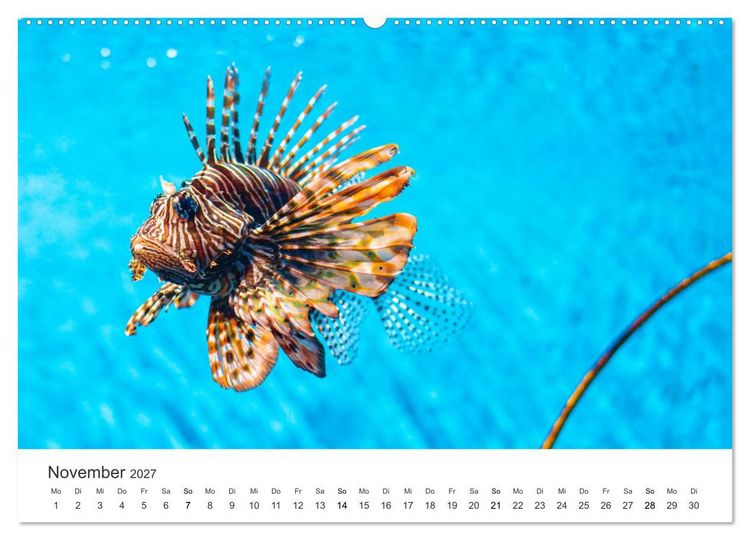 Produktbild: Traumhaftes Mauritius (hochwertiger Premium Wandkalender 2027 DIN A2 quer), Kunstdruck in Hochglanz