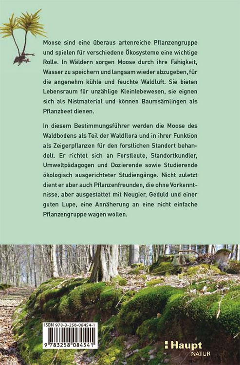 Produktbild: Moose des Waldbodens