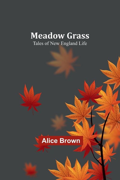 Produktbild: Meadow Grass