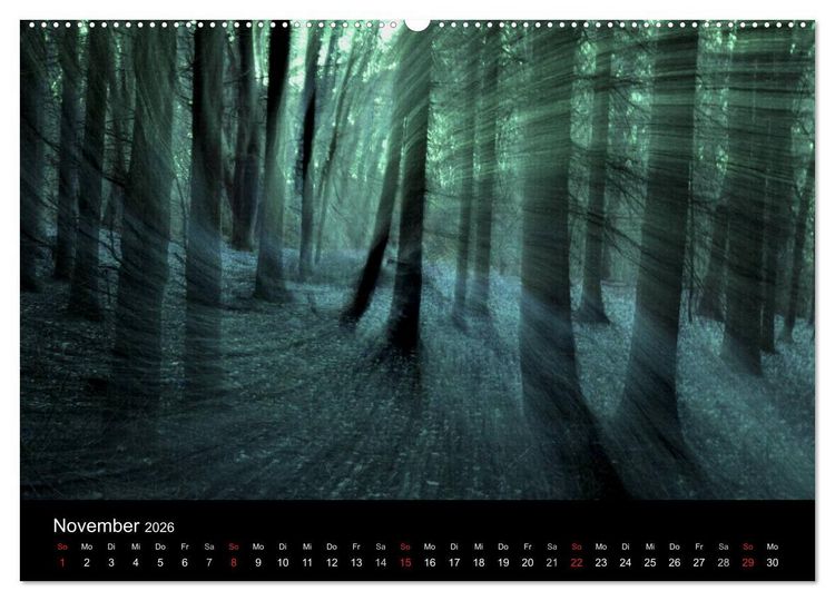 Produktbild: Magischer Wald (Wandkalender 2026 DIN A2 quer), CALVENDO Monatskalender