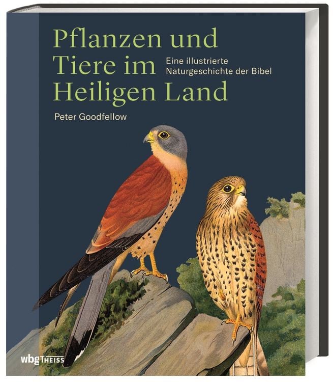 Produktbild: Pflanzen und Tiere im Heiligen Land