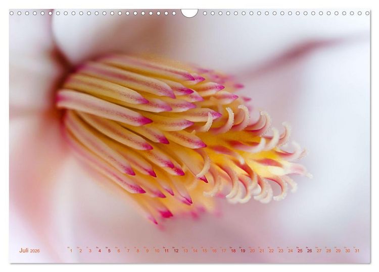 Produktbild: DEEP INSIDE - Bl&uuml;tenmakros (Wandkalender 2026 DIN A3 quer), CALVENDO Monatskalender