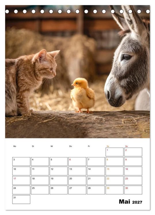 Produktbild: Ein Herz und eine Schnauze - Ein tierisch buntes Miteinander (Tischkalender 2027 DIN A5 hoch), CALVENDO Monatskalender