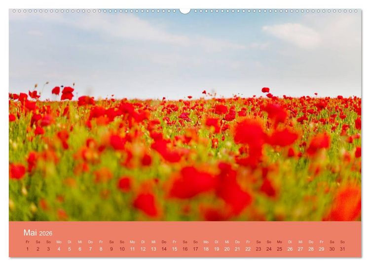 Produktbild: Berg, Land und Meer - Eine Reise durch die Landschaften (Wandkalender 2026 DIN A2 quer), CALVENDO Monatskalender