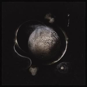 Produktbild: Cold Black Suns