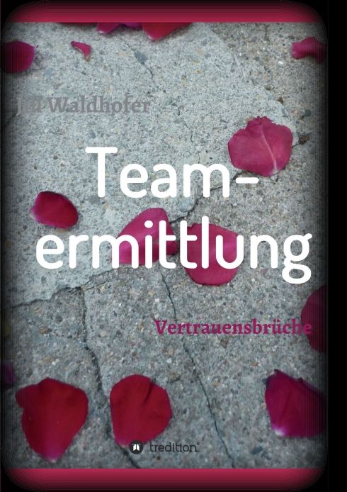 Produktbild: Teamermittlung