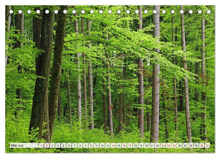 Produktbild: Hegau-Landschaften (Tischkalender 2026 DIN A5 quer), CALVENDO Monatskalender