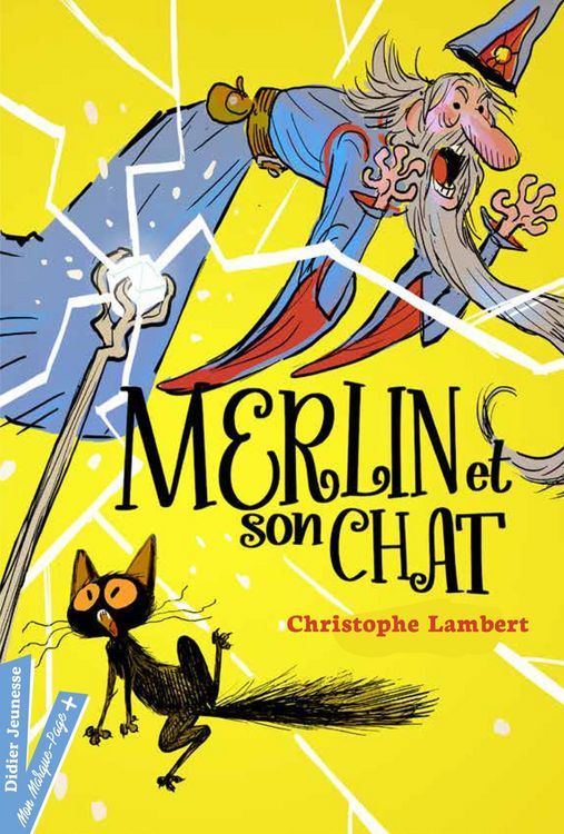Produktbild: Merlin et son chat