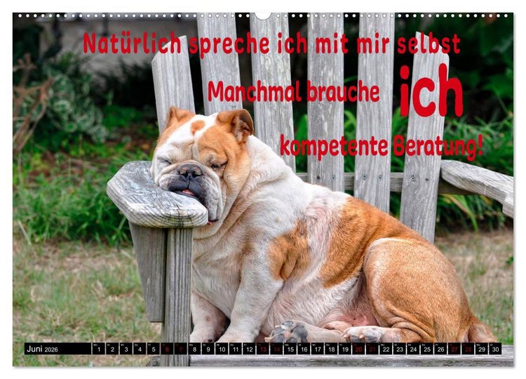 Produktbild: Spruchreif - Gute-Laune-Kalender (hochwertiger Premium Wandkalender 2026 DIN A2 quer), Kunstdruck in Hochglanz