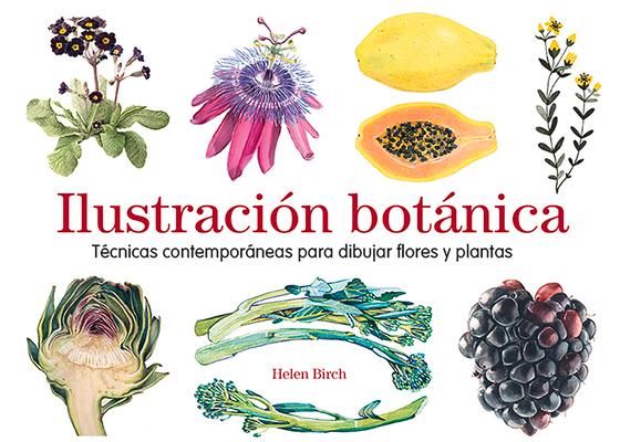 Produktbild: Ilustraci&oacute;n bot&aacute;nica : t&eacute;cnicas contempor&aacute;neas para dibujar flores y plantas