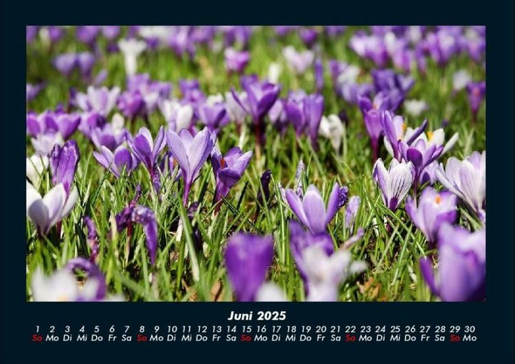 Produktbild: Blumenzauber 2025 Fotokalender DIN A4
