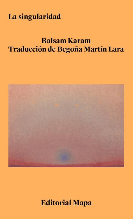 Produktbild: La singularidad