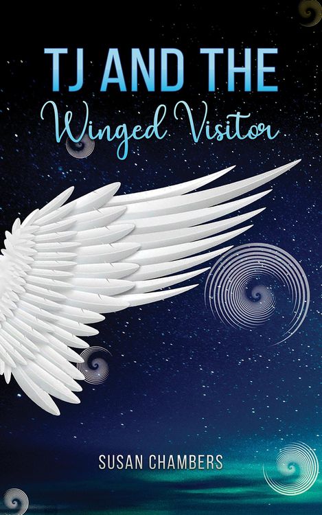 Produktbild: TJ and the Winged Visitor