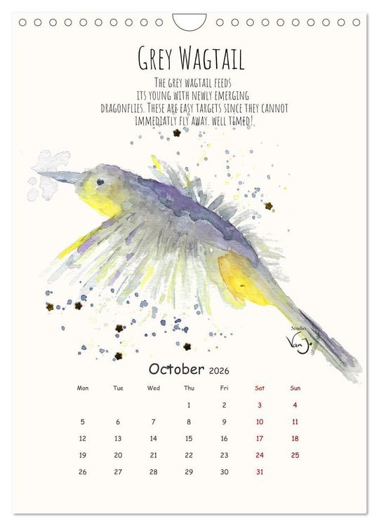 Produktbild: Symbiosis, the story of collaborations in nature (Wall Calendar 2026 DIN A4 portrait), CALVENDO 12 Month Wall Calendar