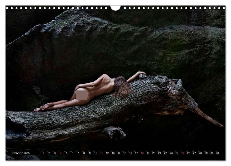 Produktbild: Saint-Tropez Les paysages et le nu (Calendrier mural 2026 DIN A3 vertical), CALVENDO calendrier mensuel