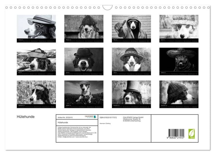 Produktbild: H&uuml;tehunde (Wandkalender 2026 DIN A3 quer), CALVENDO Monatskalender